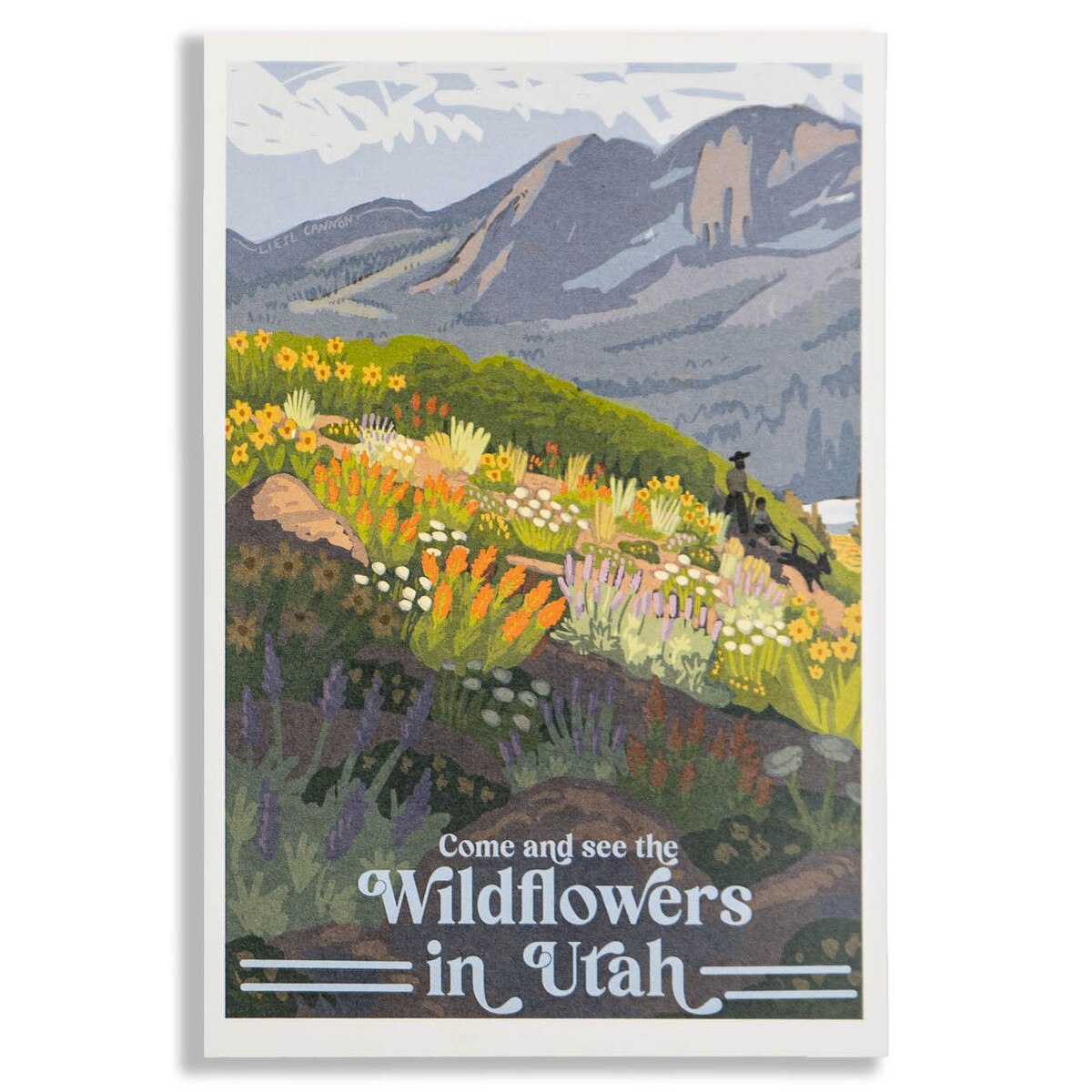 POSTCARD UTAH WILDFLOWERS LIESL CANNON